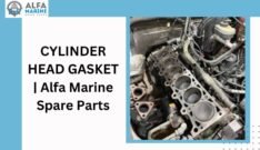 CYLINDER HEAD GASKET | Alfa Marine Spare Parts