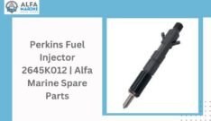 Perkins Fuel Injector 2645K012 | Alfa Marine Spare Parts