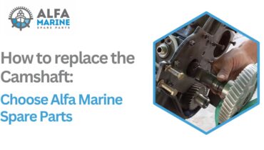 replace the Camshaft