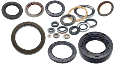 Marine Crankshaft Seals